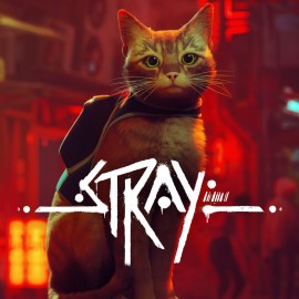 Stray оффлайн аккаунт навсегда с неограниченным кол-вом активаций в Steam Stray оффлайн аккаунт навсегда с неограниченным кол-вом активаций в Steam