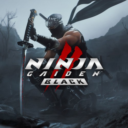 NINJA GAIDEN 2 Black аккаунт навсегда с неограниченным кол-вом оффлайн активаций Steam