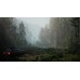 Pacific Drive: Ritual Edition оффлайн аккаунт навсегда с неограниченным кол-вом активаций в Steam