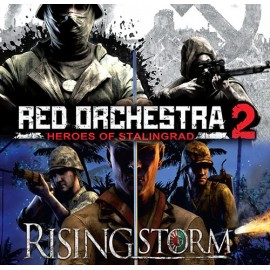 Red Orchestra 2: Heroes of Stalingrad with Rising Storm - Digital Deluxe Edition оффлайн аккаунт навсегда с неограниченным кол-вом активаций в Steam