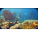 Subnautica 2 оффлайн аккаунт навсегда с неограниченным кол-вом активаций в Steam